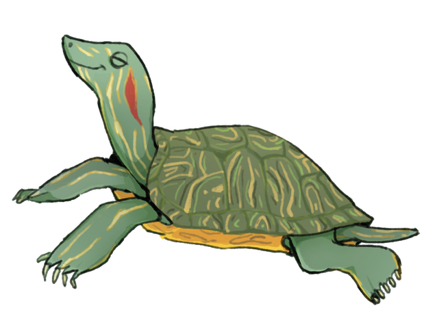 Turtle Sticker